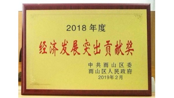 2018年度經(jīng)濟(jì)發(fā)展突出貢獻(xiàn)獎(jiǎng)-安徽斯塔克