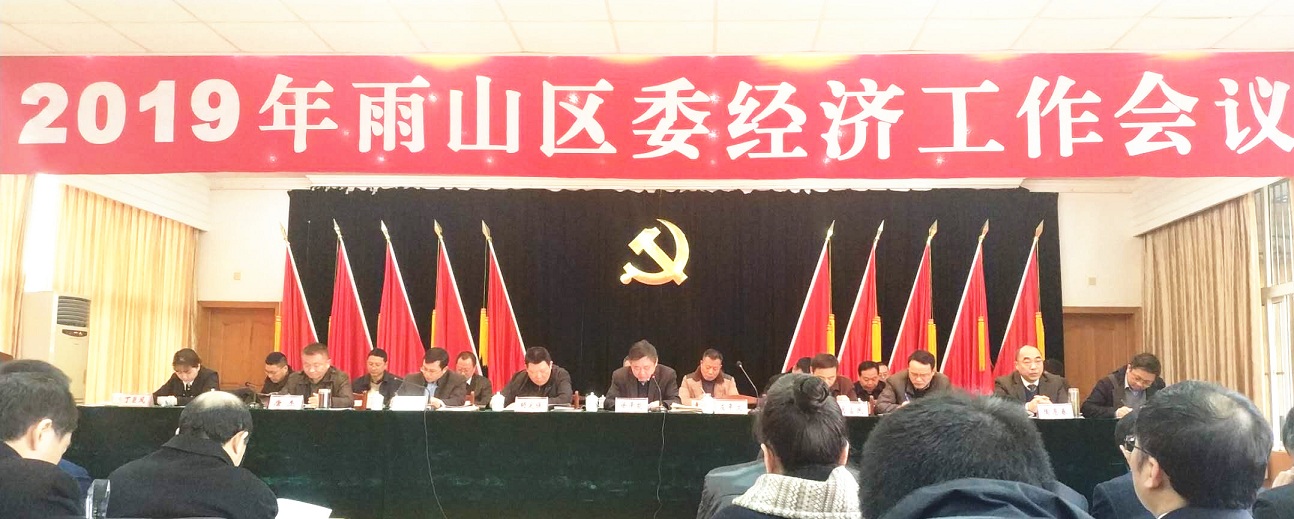 2019年雨山區(qū)委經(jīng)濟工作會議