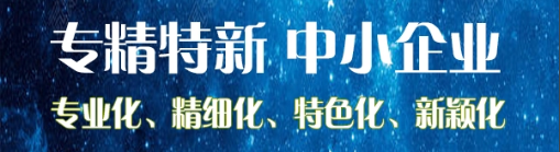 專精特新中小企業(yè)