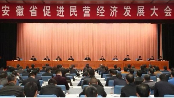 安徽省促進民營經(jīng)濟發(fā)展大會